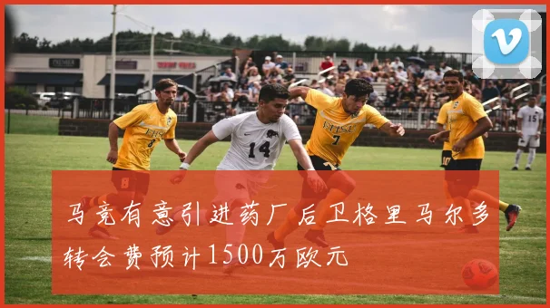 马竞有意引进药厂后卫格里马尔多转会费预计1500万欧元