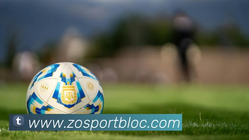 中欧足球官网平台生态图