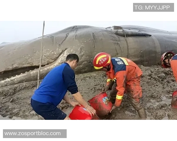 海港换血成功的背后意义或将超越三连冠的辉煌成就 海港换血成功的背后意义或将超越三连冠的辉煌成就